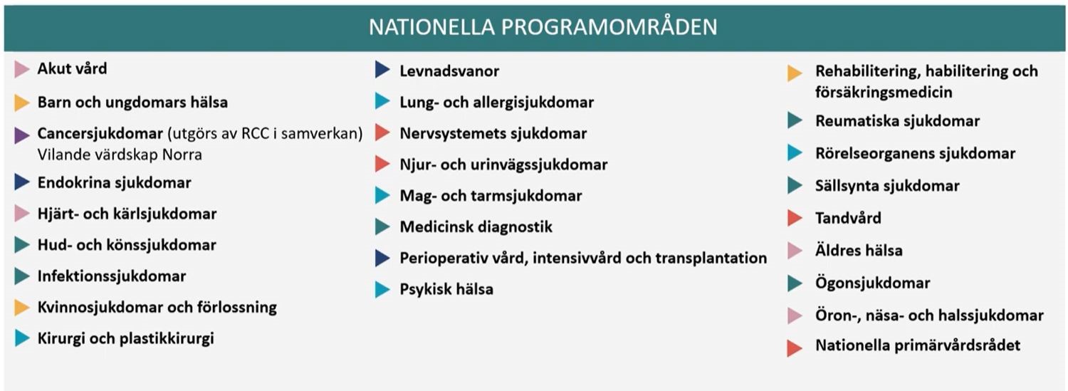 Nationella programområden